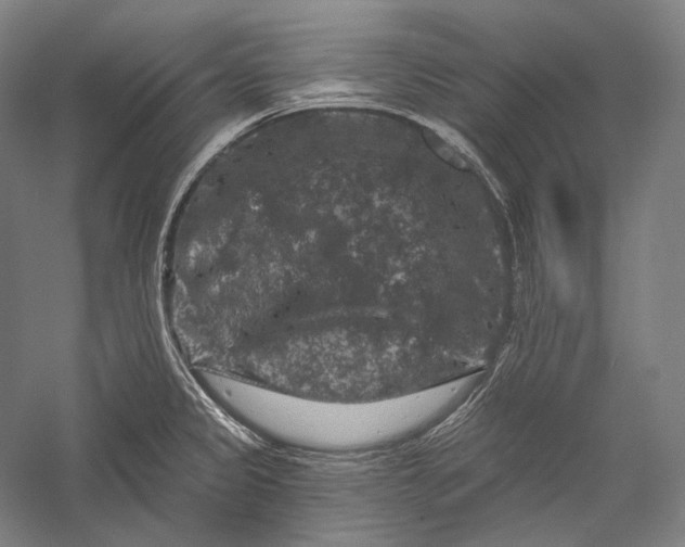 X0000055971333200509091434