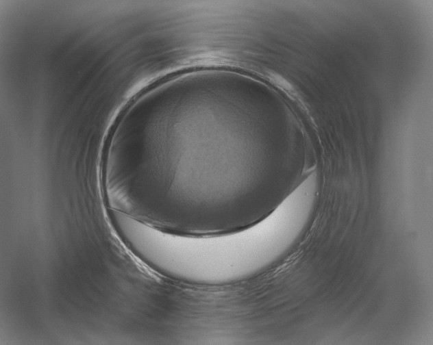 X0000055971334200509091434