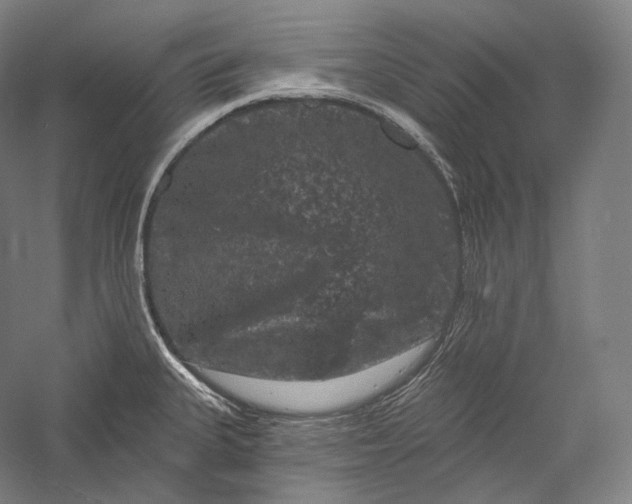 X0000055971335200509091434