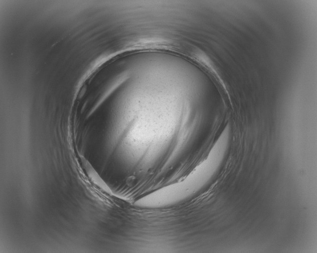 X0000055971336200509091434