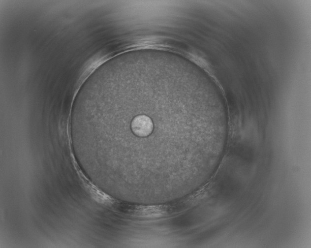 X0000055971338200509091434