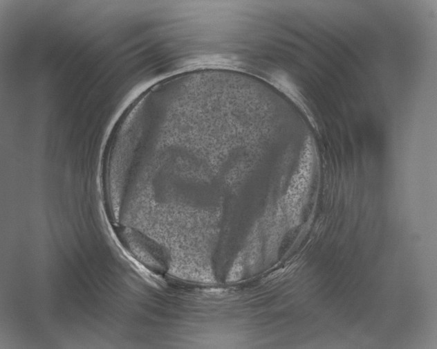 X0000055971339200509091434