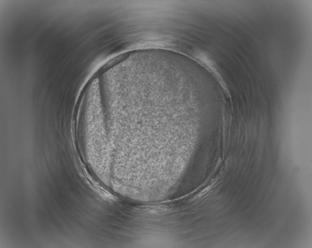 X0000055971340200509091434