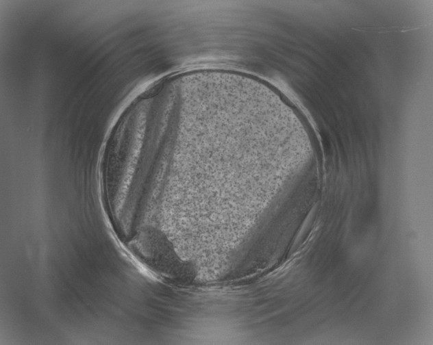 X0000055971341200509091434