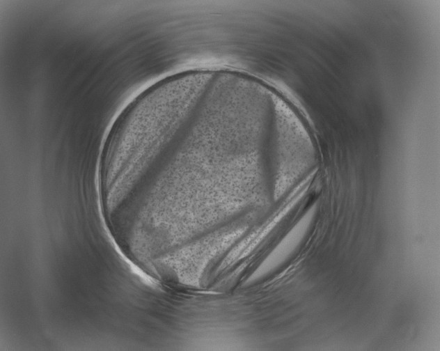 X0000055971343200509091434