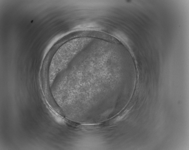 X0000055971344200509091434