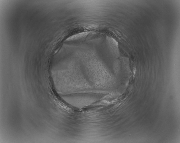 X0000055971345200509091433