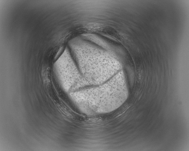 X0000055971346200509091433