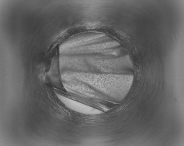 X0000055971349200509091433