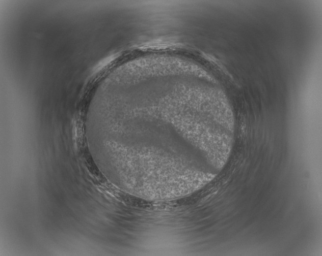 X0000055971350200509091433