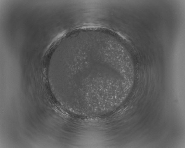 X0000055971351200509091433