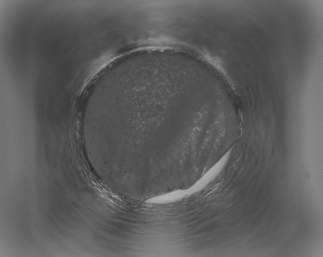 X0000055971352200509091433