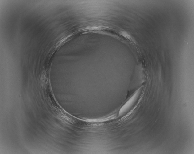 X0000055971353200509091433