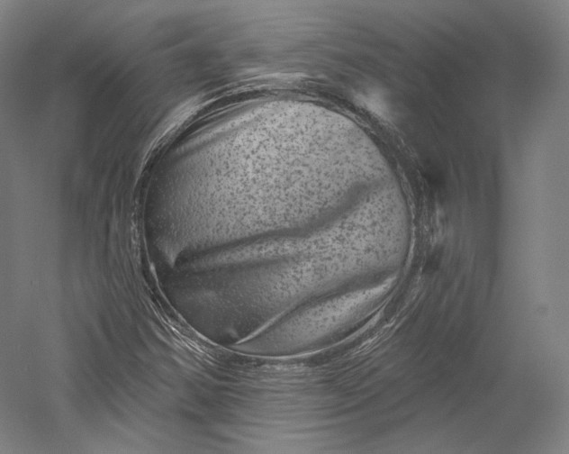 X0000055971354200509091433