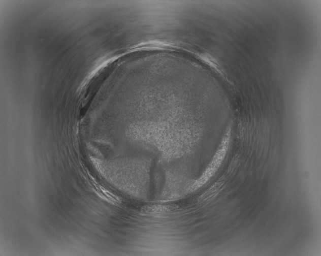 X0000055971355200509091433