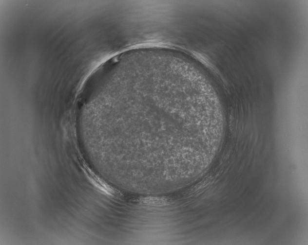 X0000055971356200509091433