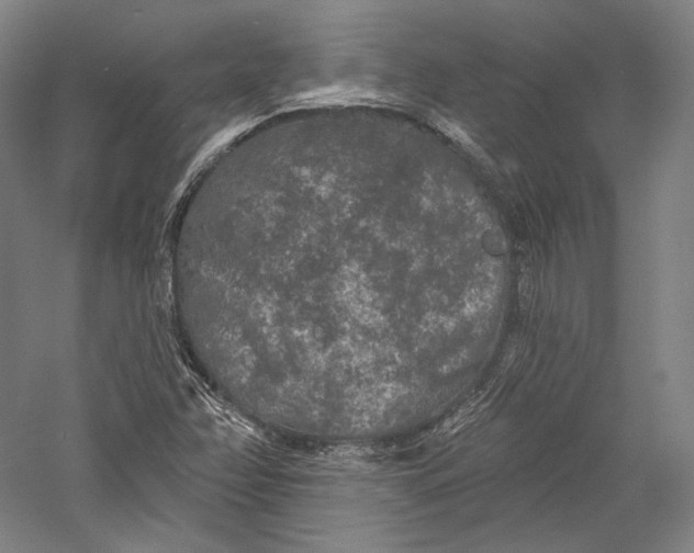 X0000055971358200509091433