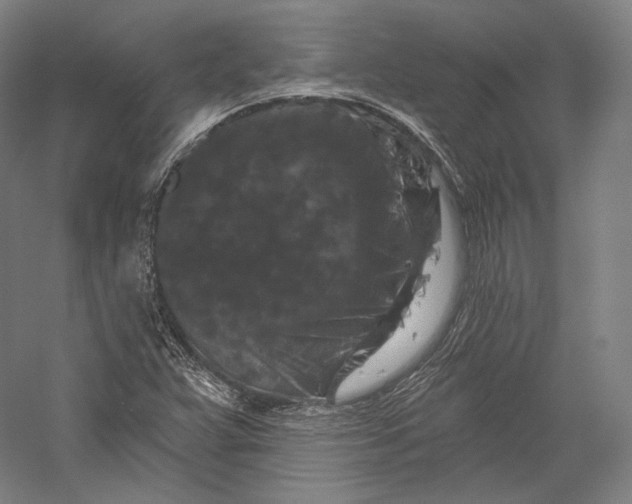 X0000055971359200509091433