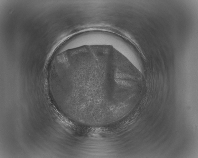 X0000055971360200509091433