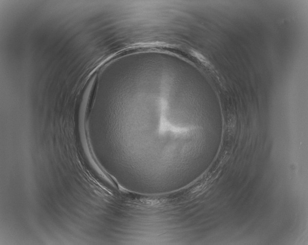 X0000055971361200509091433