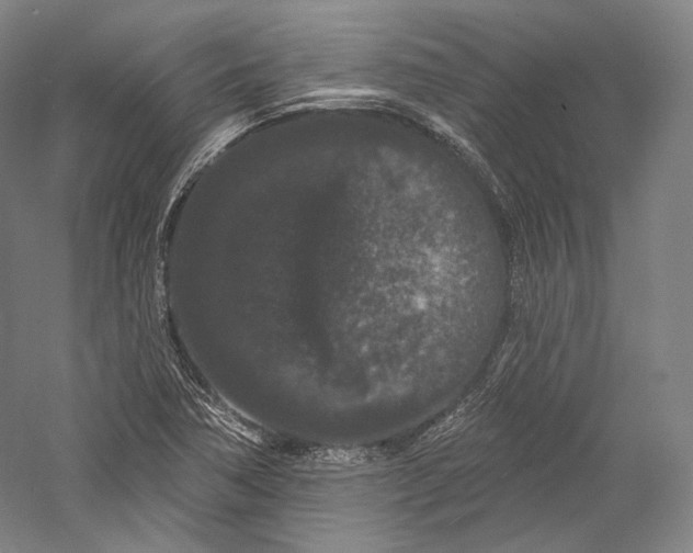 X0000055971362200509091433