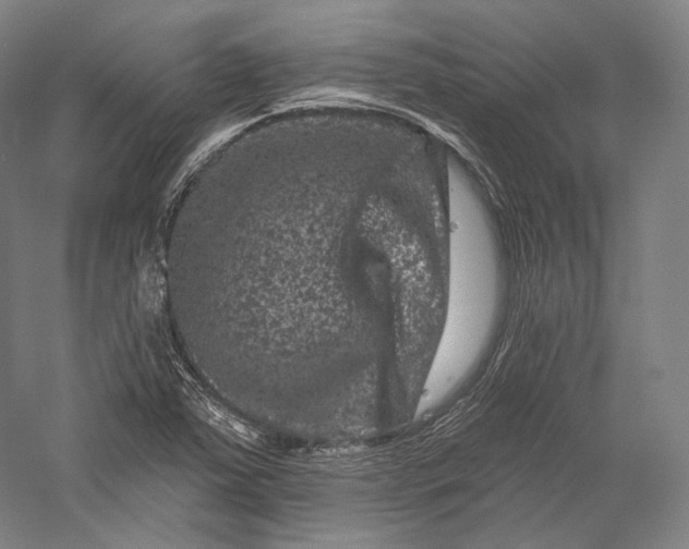 X0000055971363200509091433