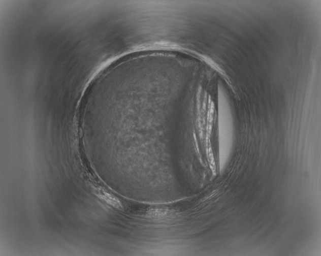 X0000055971364200509091433