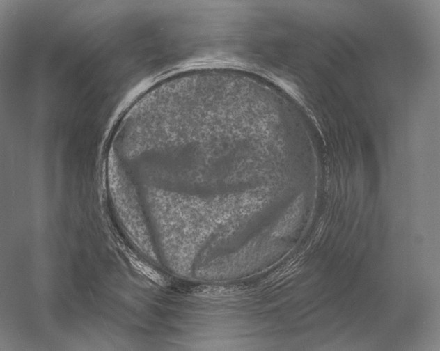 X0000055971366200509091433