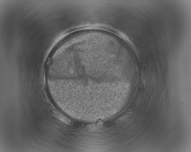 X0000055971368200509091433