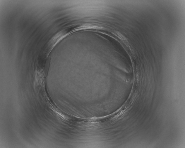 X0000055971369200509091433