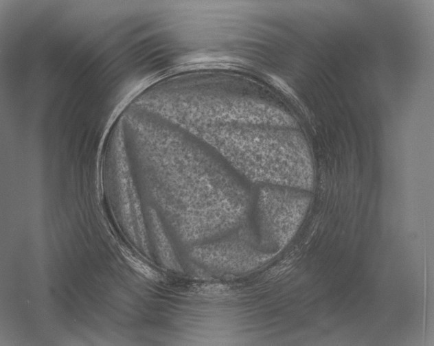 X0000055971370200509091433