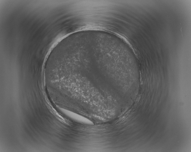 X0000055971371200509091433