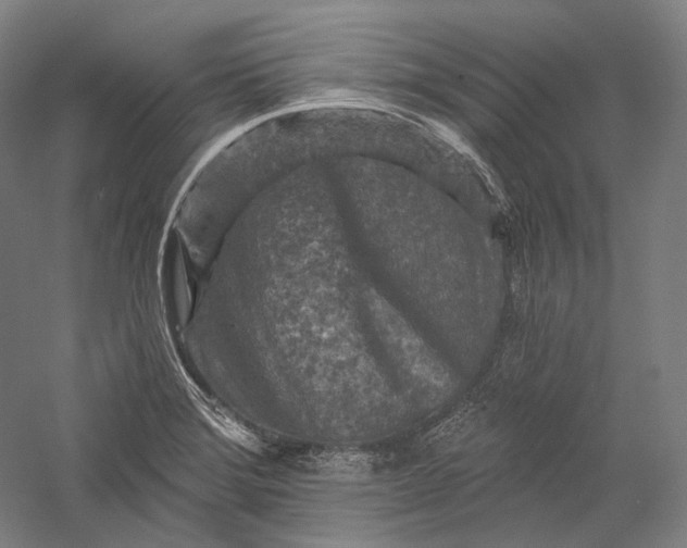 X0000055971372200509091433