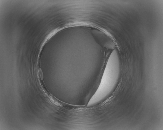 X0000055971373200509091433