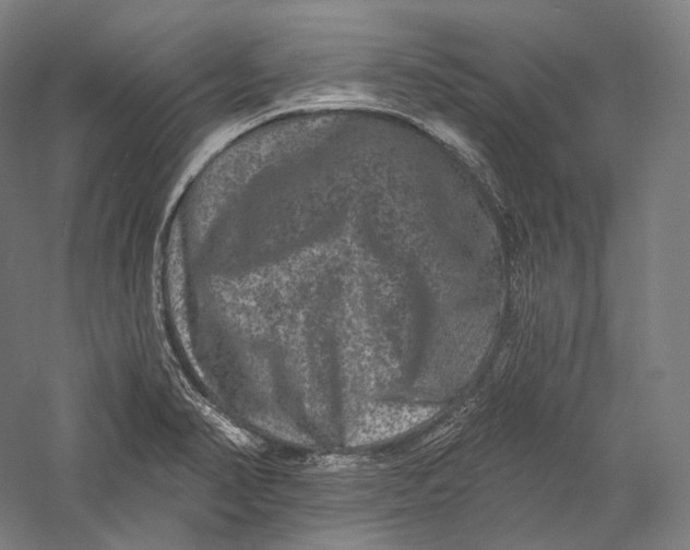 X0000055971374200509091433