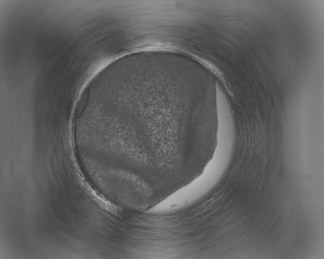 X0000055971375200509091433