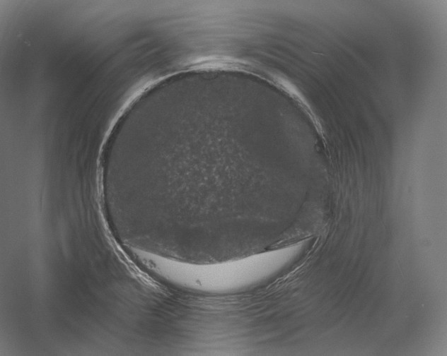 X0000055971376200509091433