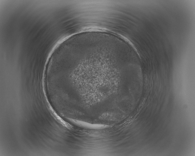 X0000055971379200509091433