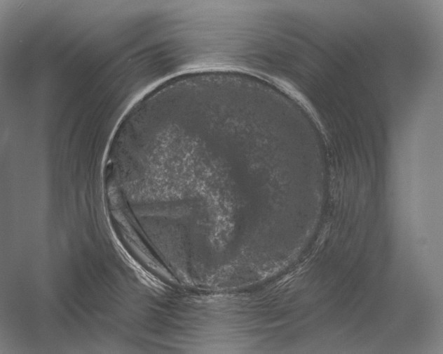 X0000055971380200509091433