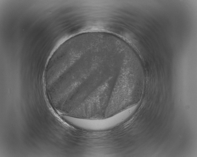 X0000055971382200509091433