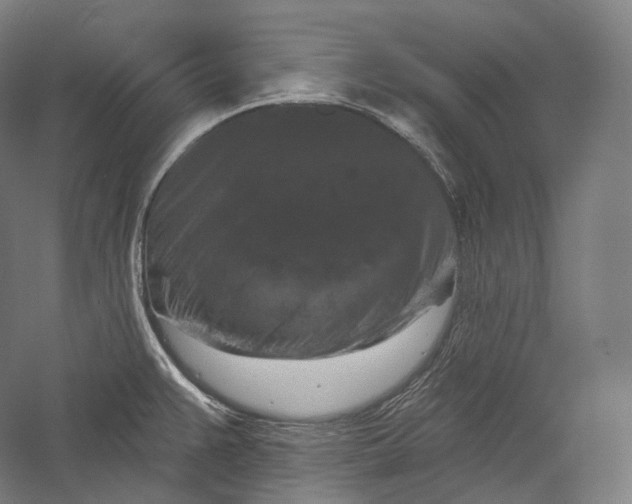 X0000055971383200509091433