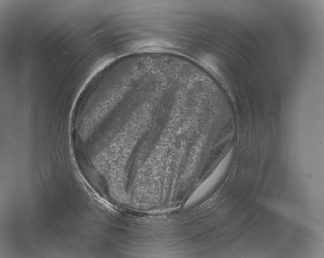 X0000055971384200509091432