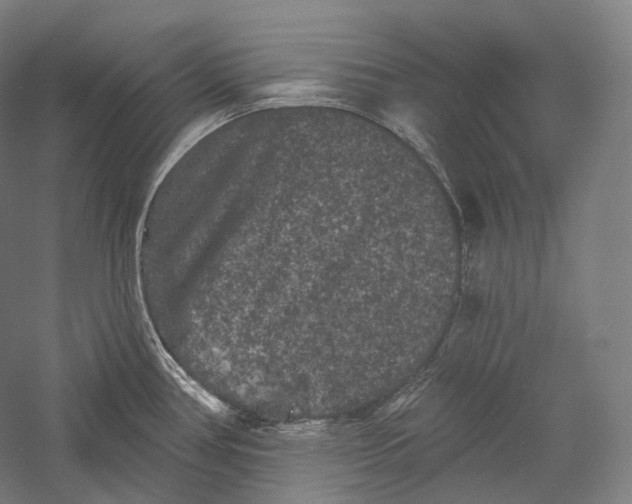 X0000055971386200509091432