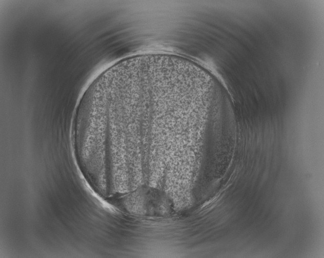 X0000055971387200509091432