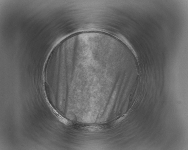 X0000055971388200509091432