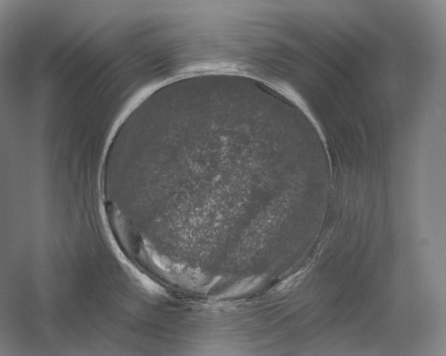 X0000055971389200509091432