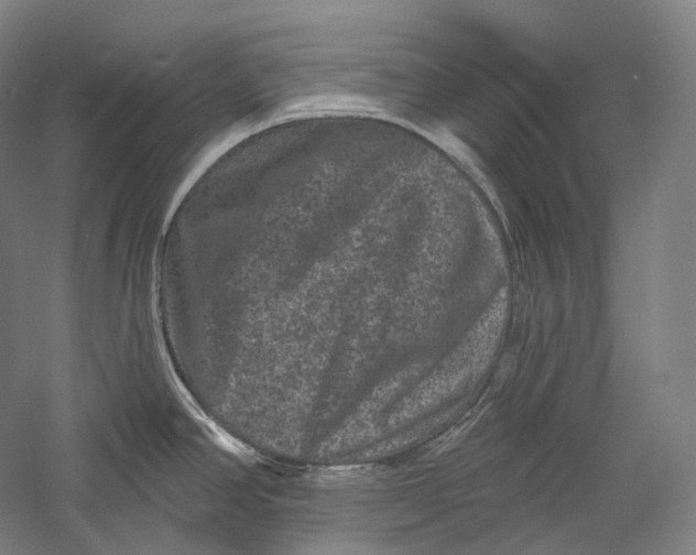 X0000055971390200509091432