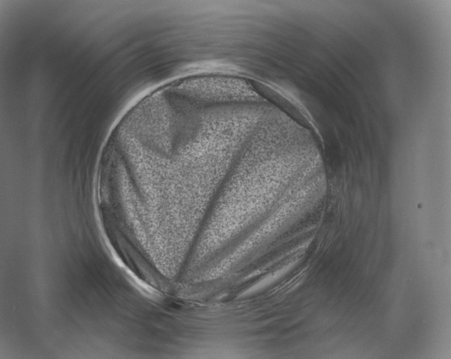 X0000055971391200509091432