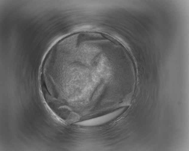 X0000055971392200509091432