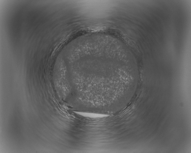 X0000055971393200509091432